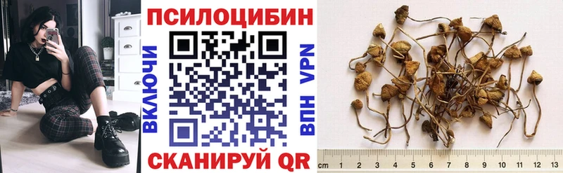 Псилоцибиновые грибы Magic Shrooms  Бор 